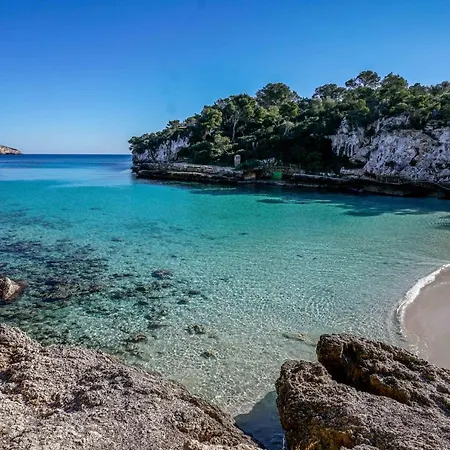 Yuca Ii Cala Mondrago (Mallorca)