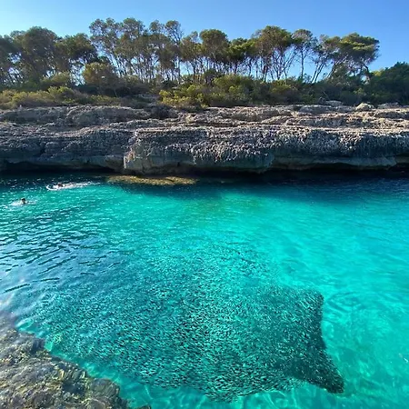 Yuca Ii Cala Mondrago (Mallorca)